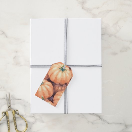 Waterverf pompoenen Thanksgiving Halloween Cadeaulabel (Met Touw)