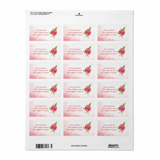 Waterverf Poppy Flower Adresetiketten Etiket (Full Sheet)