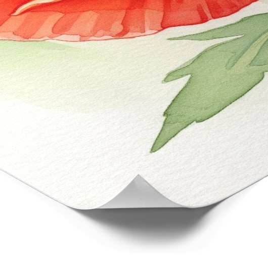 Waterverf Poppy Poster (Hoek)