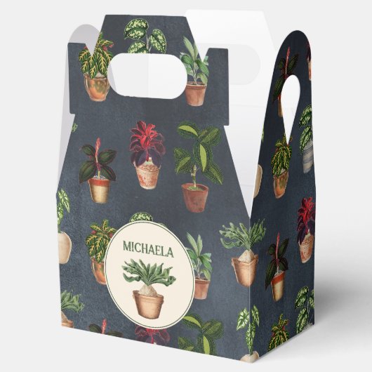 Waterverf Potentiële Planten Terracotta Pots Rusti Bedankdoosjes (Geopend)