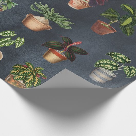 Waterverf Potentiële Planten Terracotta Pots Rusti Cadeaupapier (Hoek)