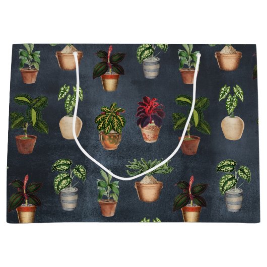 Waterverf Potentiële Planten Terracotta Pots Rusti Groot Cadeauzakje (Voorkant)