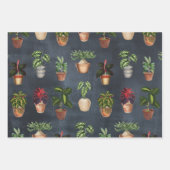 Waterverf Potentiële Planten Terracotta Pots Rusti Inpakpapier Vel (Voorkant 3)