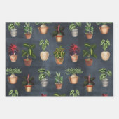 Waterverf Potentiële Planten Terracotta Pots Rusti Inpakpapier Vel (Voorkant)