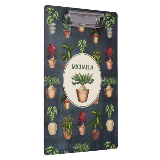 Waterverf Potentiële Planten Terracotta Pots Rusti Klembord (Rechts)