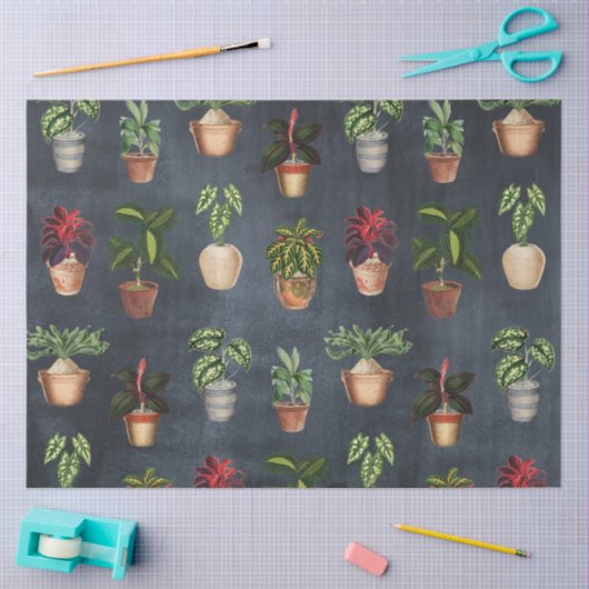 Waterverf Potentiële Planten Terracotta Pots Rusti Tissuepapier (Craft)