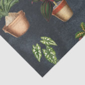 Waterverf Potentiële Planten Terracotta Pots Rusti Tissuepapier (Detail)