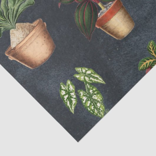 Waterverf Potentiële Planten Terracotta Pots Rusti Tissuepapier (Detail)