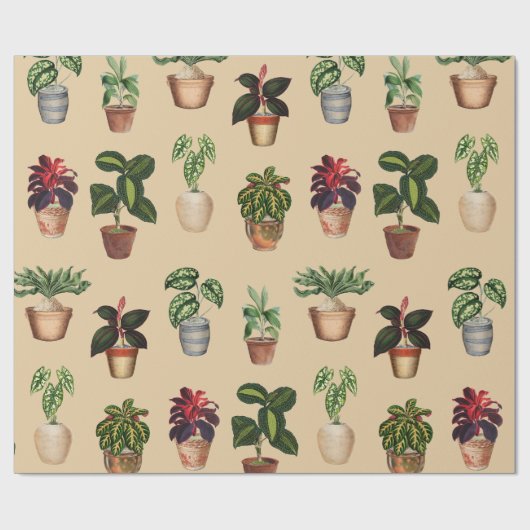 Waterverf Potlood Planten Terracotta Pots Pattern Cadeaupapier (Vlak)