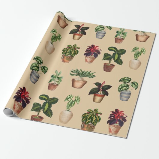 Waterverf Potlood Planten Terracotta Pots Pattern Cadeaupapier (Uitgerold)