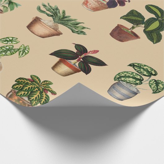 Waterverf Potlood Planten Terracotta Pots Pattern Cadeaupapier (Hoek)