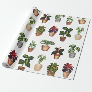 Waterverf Potlood Planten Terracotta Pots Pattern Cadeaupapier