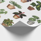 Waterverf Potlood Planten Terracotta Pots Pattern Cadeaupapier (Hoek)