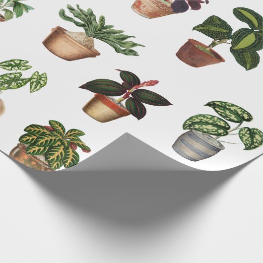 Waterverf Potlood Planten Terracotta Pots Pattern Cadeaupapier (Hoek)