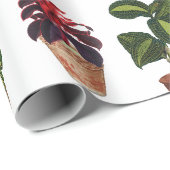 Waterverf Potlood Planten Terracotta Pots Pattern Cadeaupapier (Rol Hoek)