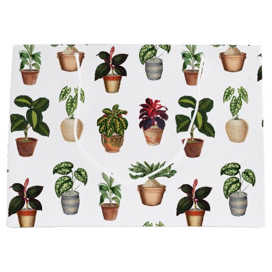 Waterverf Potlood Planten Terracotta Pots Pattern Groot Cadeauzakje (Voorkant)