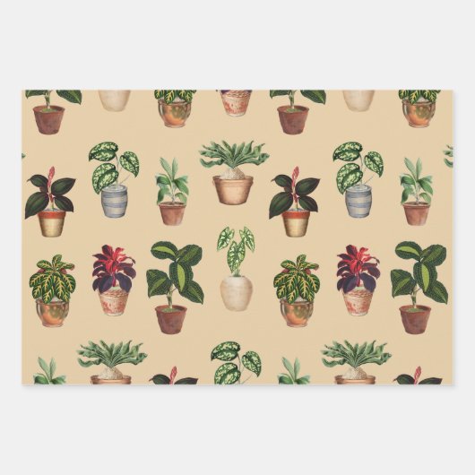 Waterverf Potlood Planten Terracotta Pots Pattern Inpakpapier Vel (Voorkant 3)