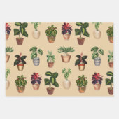 Waterverf Potlood Planten Terracotta Pots Pattern Inpakpapier Vel (Voorkant 2)