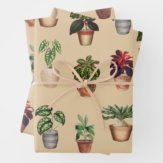 Waterverf Potlood Planten Terracotta Pots Pattern Inpakpapier Vel (In situ)