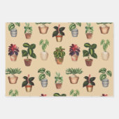 Waterverf Potlood Planten Terracotta Pots Pattern Inpakpapier Vel (Voorkant)