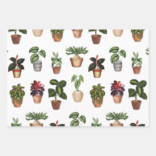 Waterverf Potlood Planten Terracotta Pots Pattern Inpakpapier Vel (Voorkant 3)