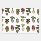 Waterverf Potlood Planten Terracotta Pots Pattern Inpakpapier Vel (Voorkant 2)