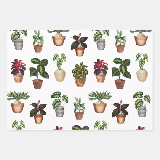 Waterverf Potlood Planten Terracotta Pots Pattern Inpakpapier Vel (Voorkant)