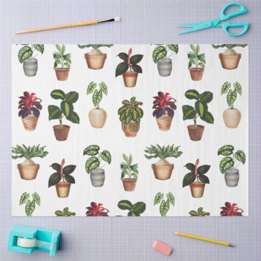 Waterverf Potlood Planten Terracotta Pots Pattern Tissuepapier (Craft)