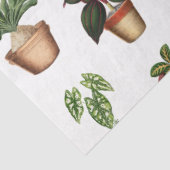 Waterverf Potlood Planten Terracotta Pots Pattern Tissuepapier (Detail)