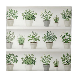 Waterverf Potplanten Plank Patroon Tegeltje