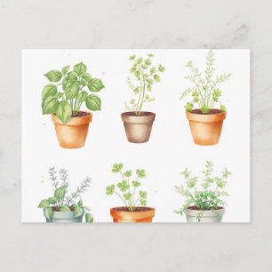 Waterverf Potted Herbs op Cream Achtergrond Briefkaart
