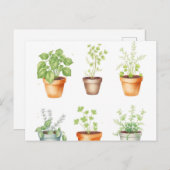Waterverf Potted Herbs op Cream Achtergrond Briefkaart (Voorkant / Achterkant)