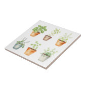 Waterverf Potted Herbs op Cream Achtergrond Tegeltje (Zijkant)