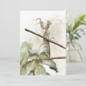Waterverf Pray Mantis Kaart (Staand voorkant)