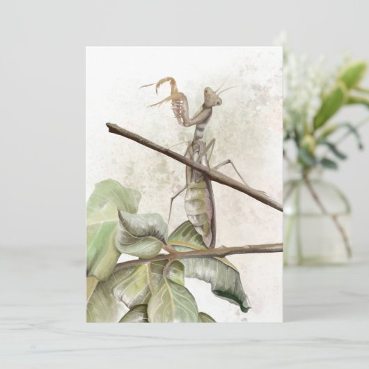 Waterverf Pray Mantis Kaart (Staand voorkant)