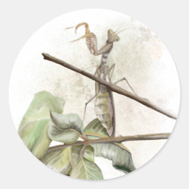 Waterverf Pray Mantis Ronde Sticker