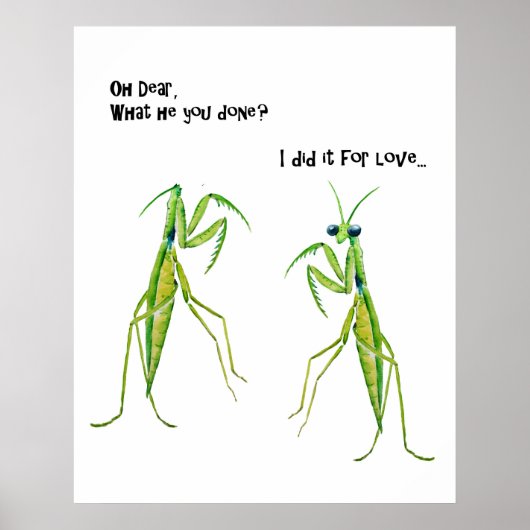 Waterverf Praying Mantis Funny Joke Poster (Voorkant)
