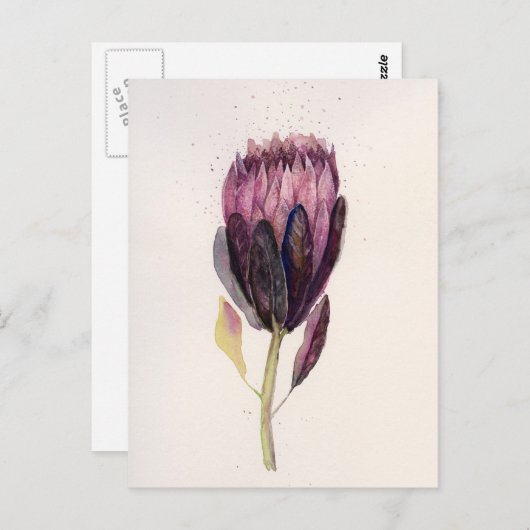 Waterverf Protea Briefkaart (Voorkant / Achterkant)