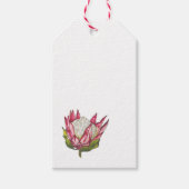 Waterverf Protea op wit Label Cadeaulabel (Voorkant)