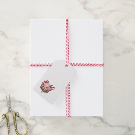 Waterverf Protea op wit Label Cadeaulabel (Met Touw)