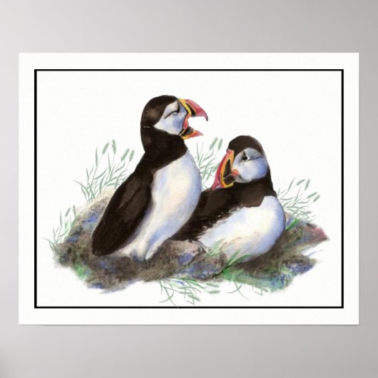 Waterverf Puffin Ocean Bird art Poster (Voorkant)
