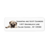 Waterverf Pugs-hond Retouradres Etiket (Voorkant)