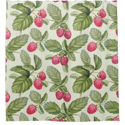Waterverf Raspberry Naadloos Patroonontwerp Douchegordijn (Voorkant)