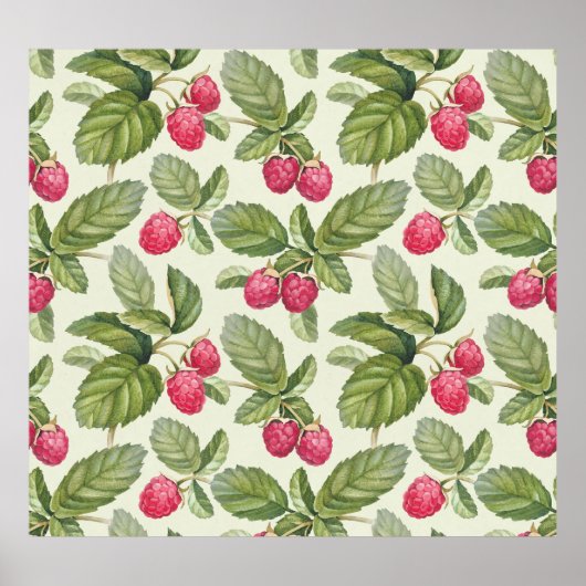 Waterverf Raspberry Naadloos Patroonontwerp Poster (Voorkant)