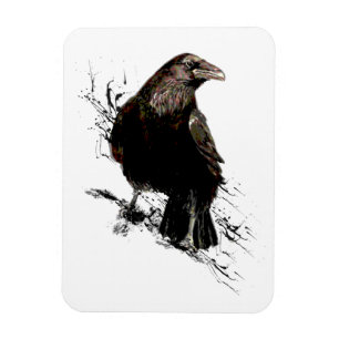 Waterverf Raven Bird Art Magneet