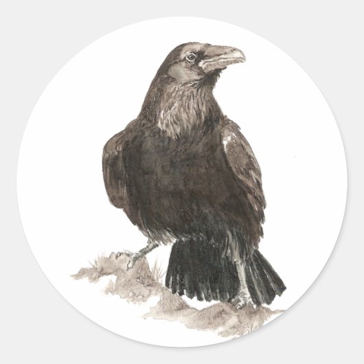 Waterverf Raven Bird Natuur Art Ronde Sticker (Voorkant)