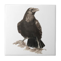 Waterverf Raven Bird Wildlife Art
