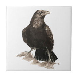 Waterverf Raven Bird Wildlife Art Tegeltje