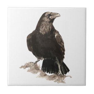 Waterverf Raven Bird Wildlife Art Tegeltje