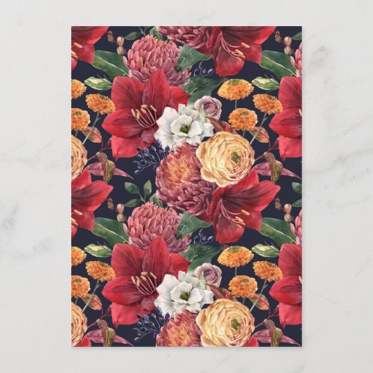 Waterverf Red Amaryllis vindt het gastspel Informatiekaartje (Achterkant)